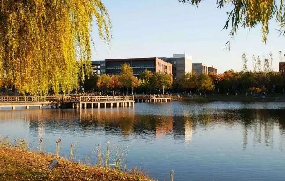 快填志愿了,什么是985,211院校?廣州高考美術培訓畫室小圍為你解答!圖十