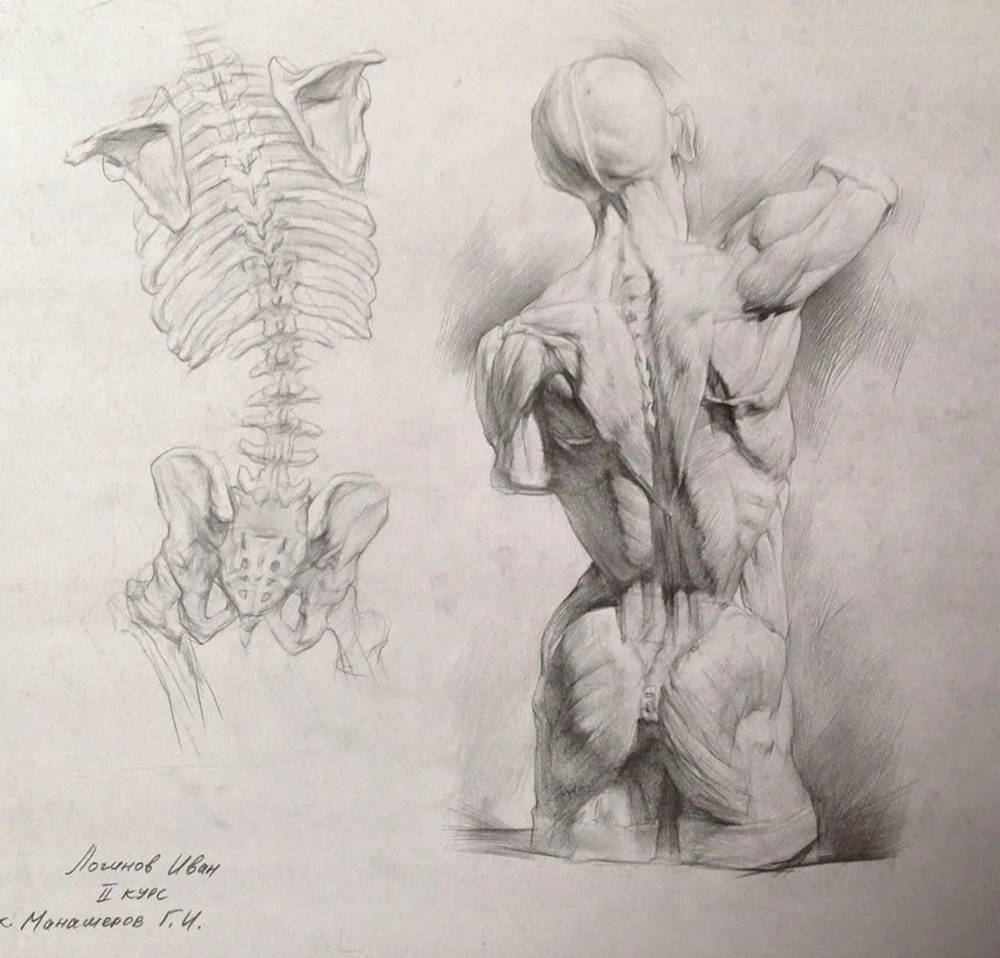 廣州畫室排名前十畫室?guī)憧纯凑嬲乃孛韪呤郑煸勔涣?36