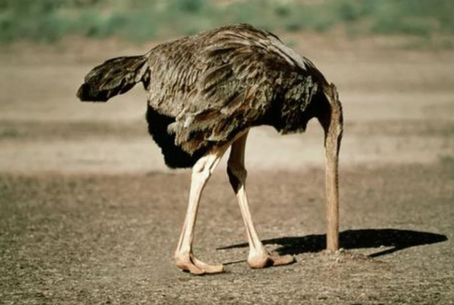 美術(shù)集訓(xùn)中最讓人遺憾的這幾件事！你遺憾的事嗎？圖四