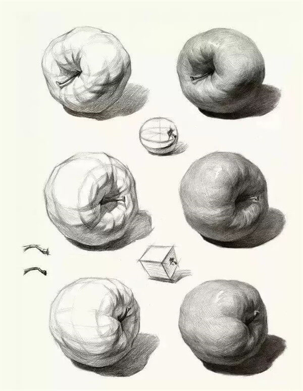如何讓素描靜物急速提高?只需你做到廣州十大畫室整理的這3條圖9