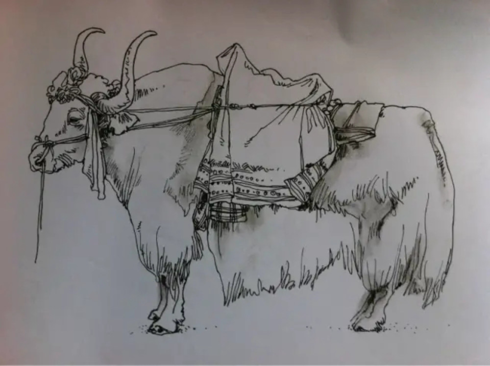 如果你正在學習線描速寫，廣州藝考畫室覺得這52幅作品正合適你,41