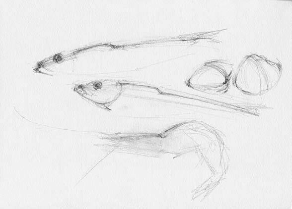 廣州畫室前五排名畫室告訴你素描靜物如何表現質感,02