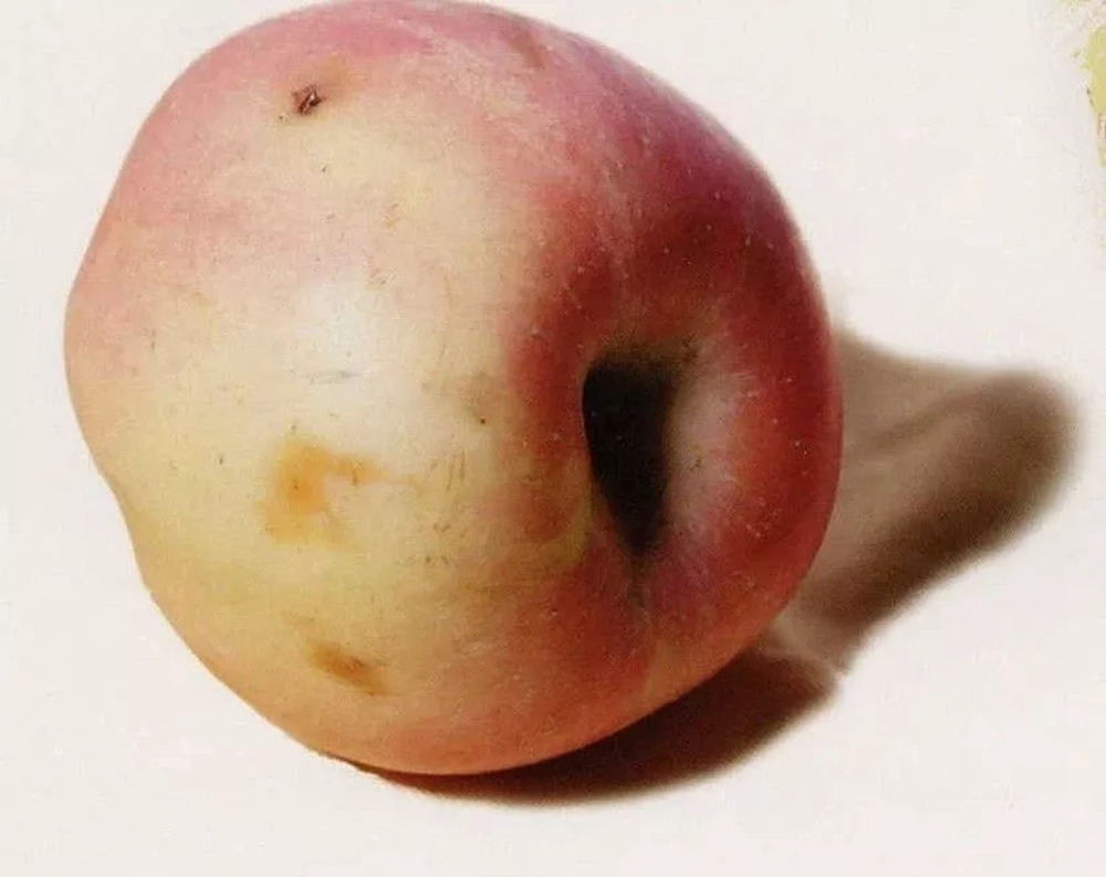 全網(wǎng)最全面的 “蘋果” 色彩靜物廣州藝考畫室教程！,05