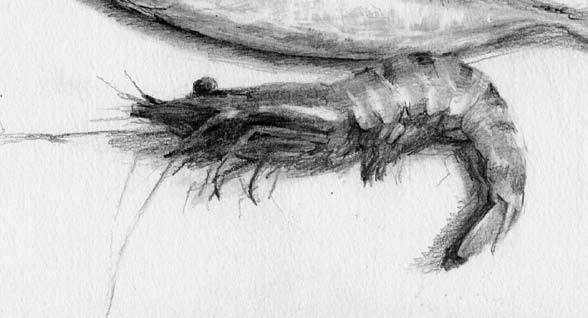 廣州畫室前五排名畫室告訴你素描靜物如何表現質感,08