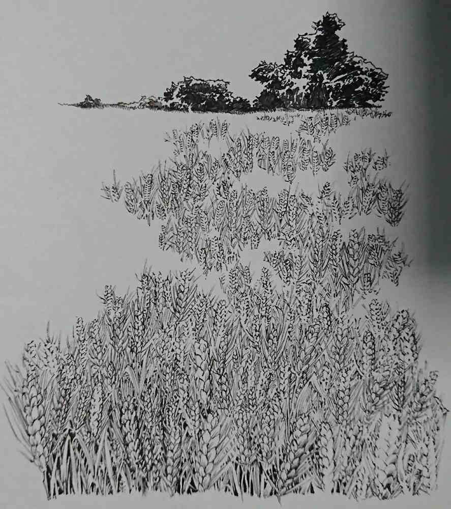 廣州畫室排名前十畫室整理超簡單繪畫技巧,作者是認真的么,51