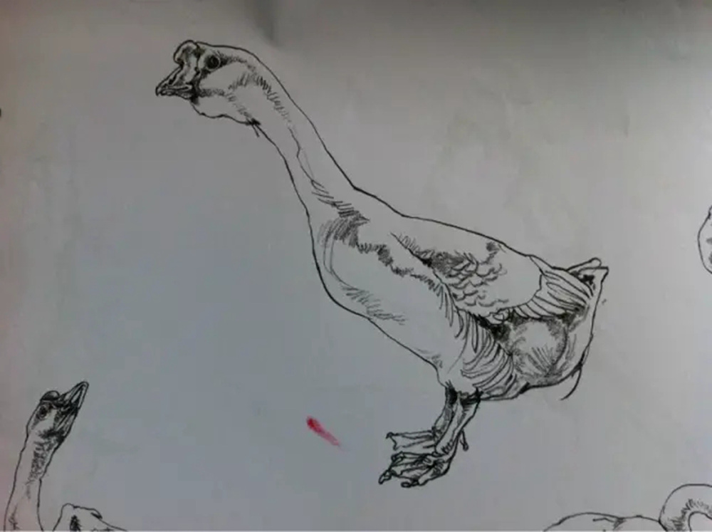 如果你正在學習線描速寫，廣州藝考畫室覺得這52幅作品正合適你,20