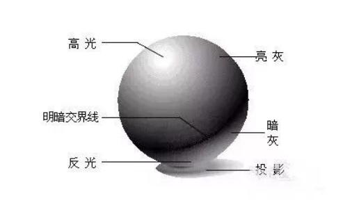 廣州十大畫室告訴你處理好素描明暗交界線還有這些方法,07