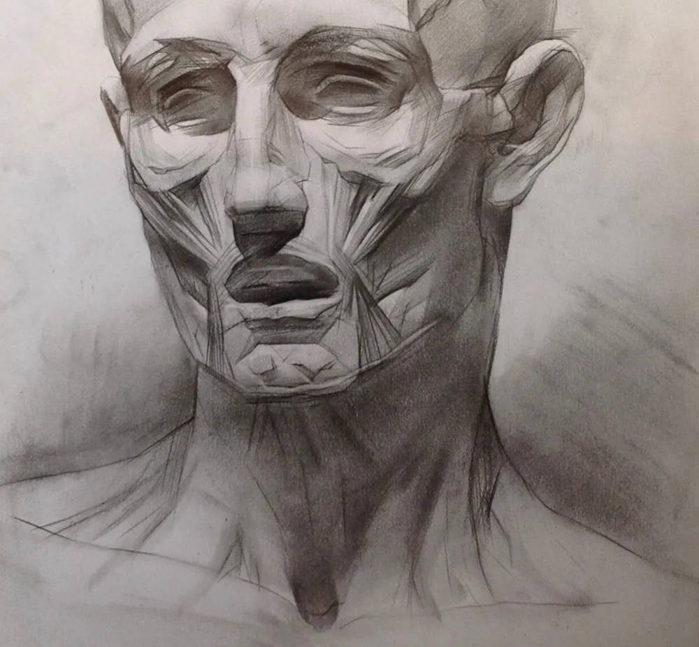 廣州畫室排名前十畫室?guī)憧纯凑嬲乃孛韪呤郑煸勔涣?41