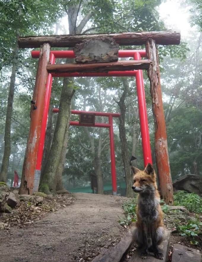 廣州畫室寒假班