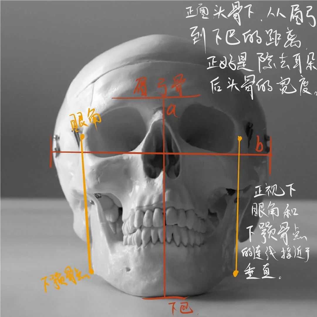 想要拿下校考素描頭像高分嗎?廣州十大畫室教你技巧,05