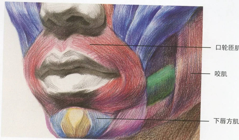 廣州藝考畫室,廣州素描畫室,廣州畫室素描培訓,42