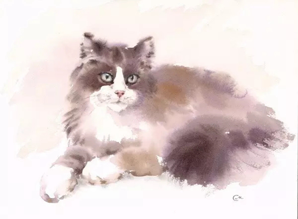 超實用水彩小知識,廣州前十畫室覺得你回想知道,34