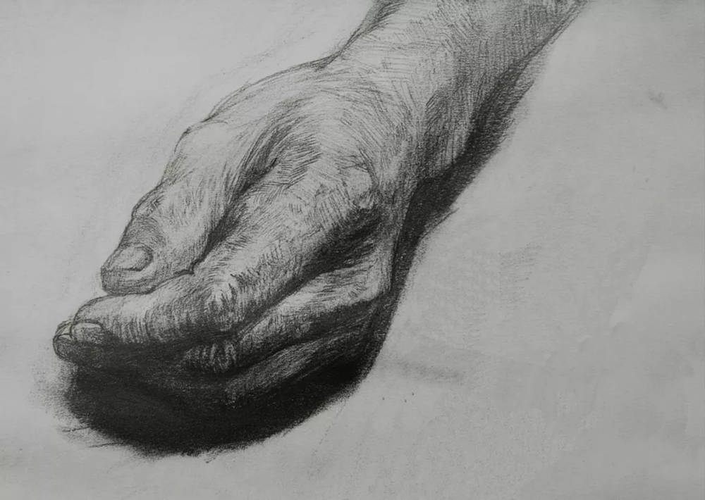 廣州畫室排名前五畫室給你整理了100幅手部刻畫作品拿去臨摹,48