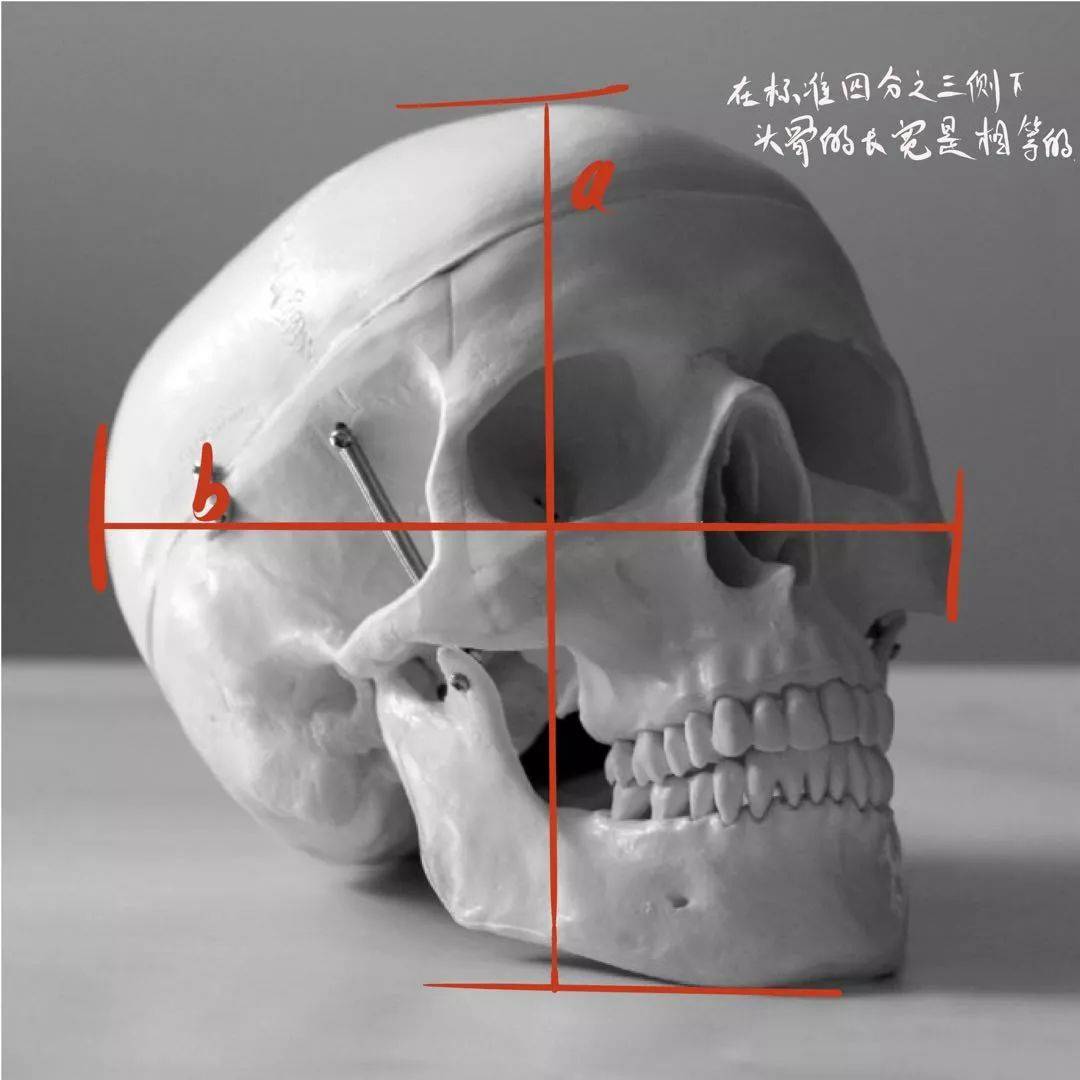 想要拿下校考素描頭像高分嗎?廣州十大畫室教你技巧,07