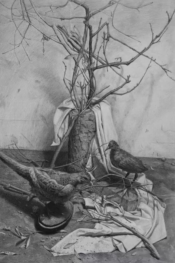 想要你的素描牛，廣州美術高考班建議從這五點開始,03