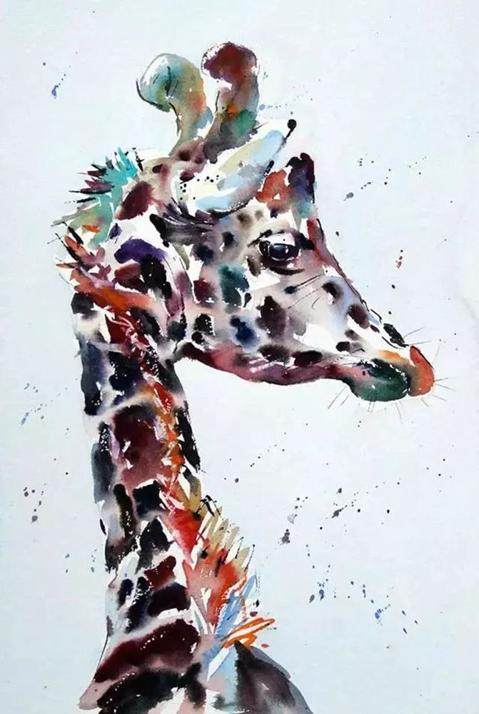 這樣的動物水彩畫廣州排名前十畫室覺得不能忍住笑,12