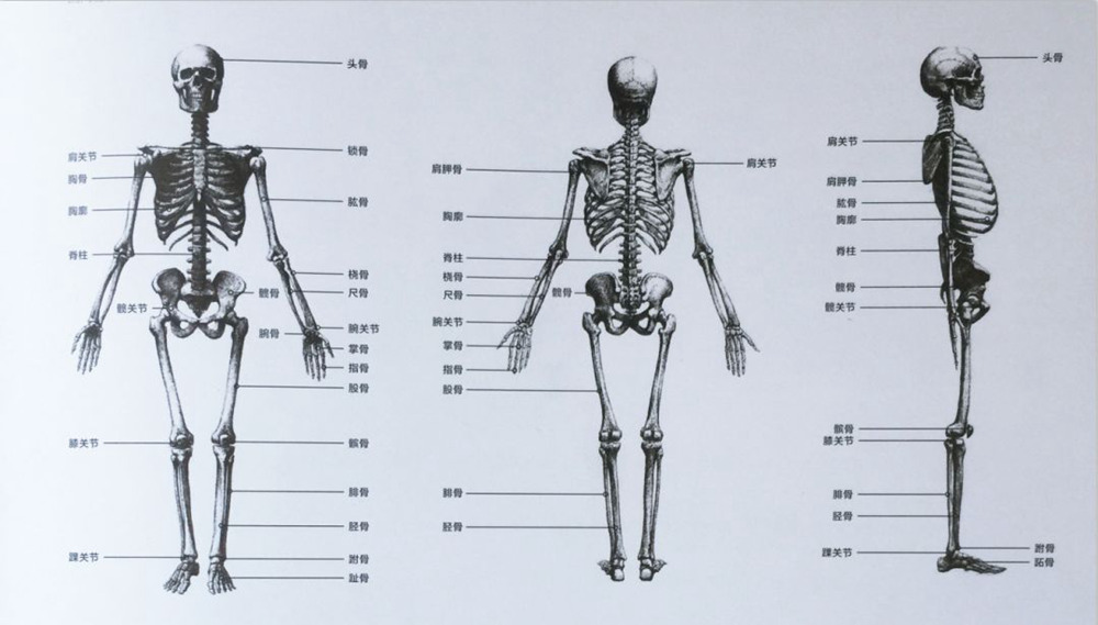 廣州畫室速寫知識,廣州速寫美術培訓,廣州速寫培訓技巧,04