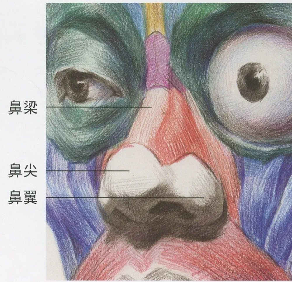 廣州藝考畫室,廣州素描畫室,廣州畫室素描培訓,32