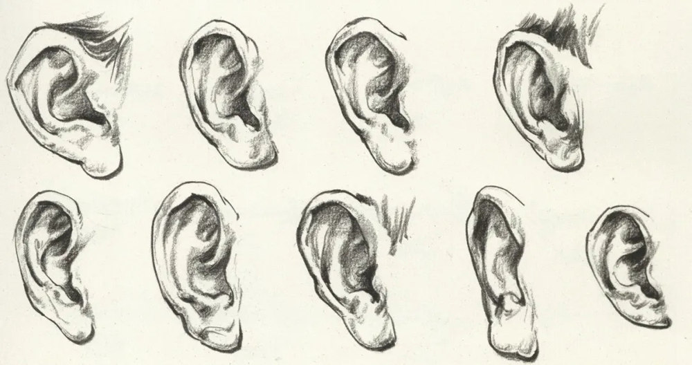 廣州前十畫室超強干貨丨速寫局部之眼耳鼻嘴的刻畫,05