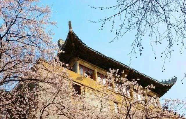 這些實(shí)力堪比美院的985院校,都開設(shè)了美術(shù)類專業(yè)!廣州圍墻畫室附圖9