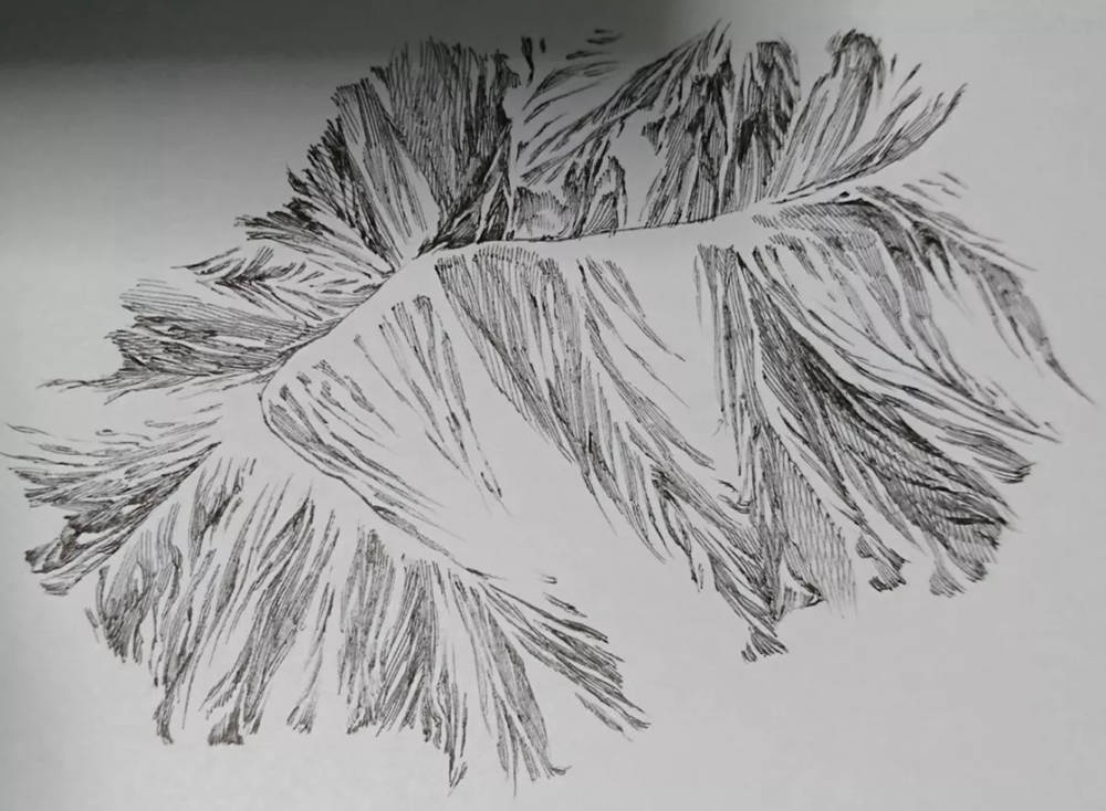 廣州畫室排名前十畫室整理超簡單繪畫技巧,作者是認真的么,55