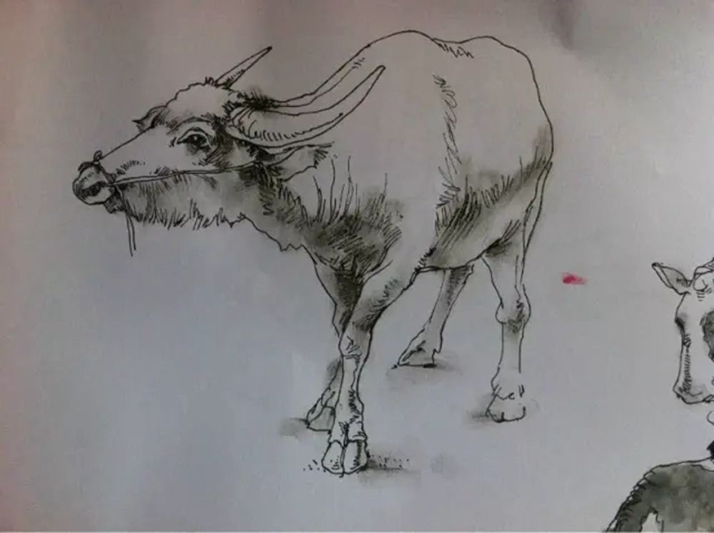 如果你正在學習線描速寫，廣州藝考畫室覺得這52幅作品正合適你,19