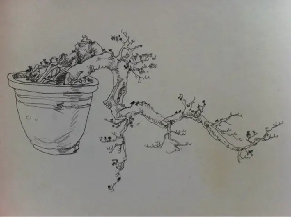 如果你正在學習線描速寫，廣州藝考畫室覺得這52幅作品正合適你,49