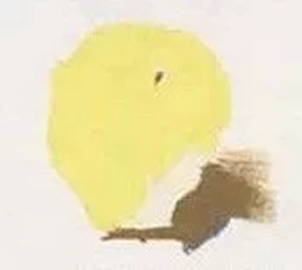 全網(wǎng)最全面的 “蘋果” 色彩靜物廣州藝考畫室教程！,10