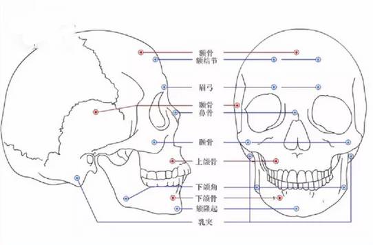 這些素描頭像默寫秘訣，廣州十大畫室之告訴你,01