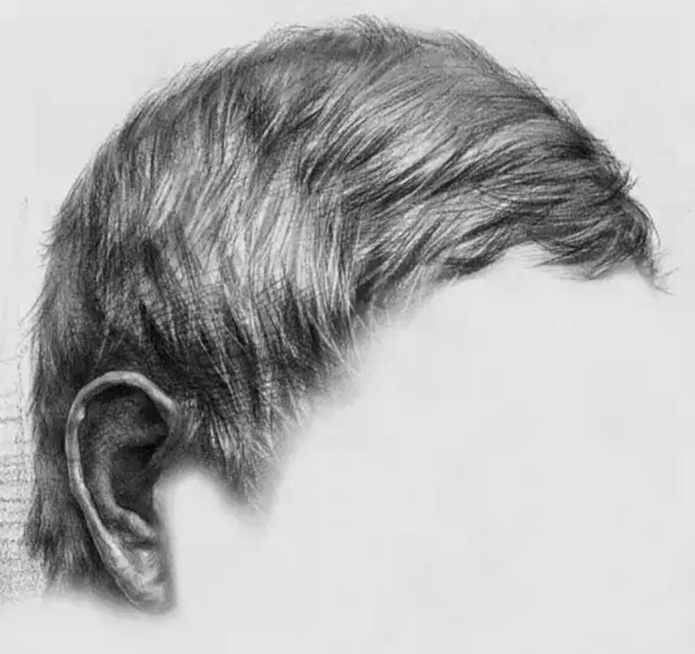 廣州圍墻畫室,廣州圍墻美術(shù)培訓(xùn)中心,廣州素描培訓(xùn),20