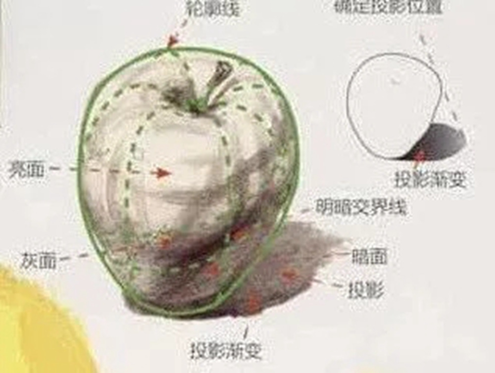 全網(wǎng)最全面的 “蘋果” 色彩靜物廣州藝考畫室教程！,08