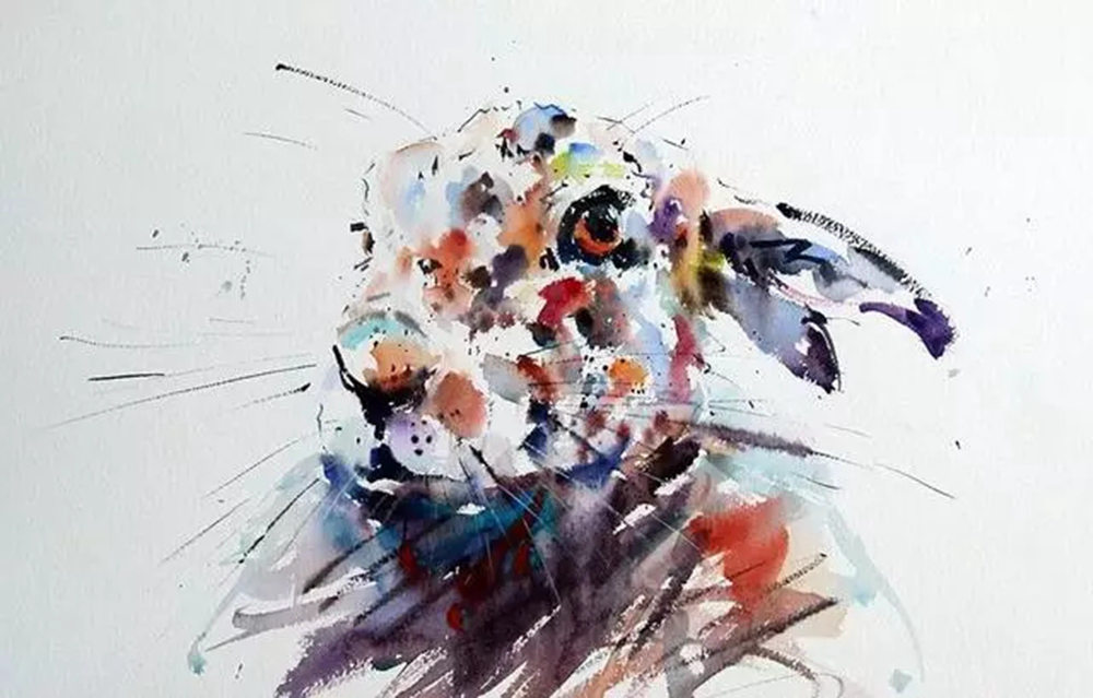 這樣的動物水彩畫廣州排名前十畫室覺得不能忍住笑,20