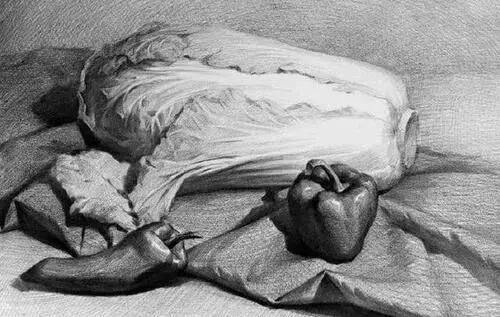 如何提升素描寫生訓練技巧?2