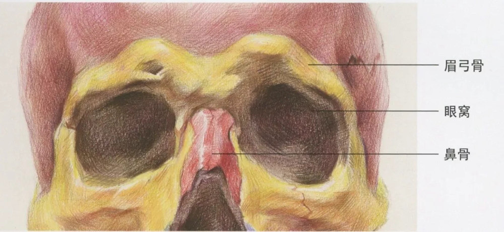 廣州藝考畫室,廣州素描畫室,廣州畫室素描培訓,12