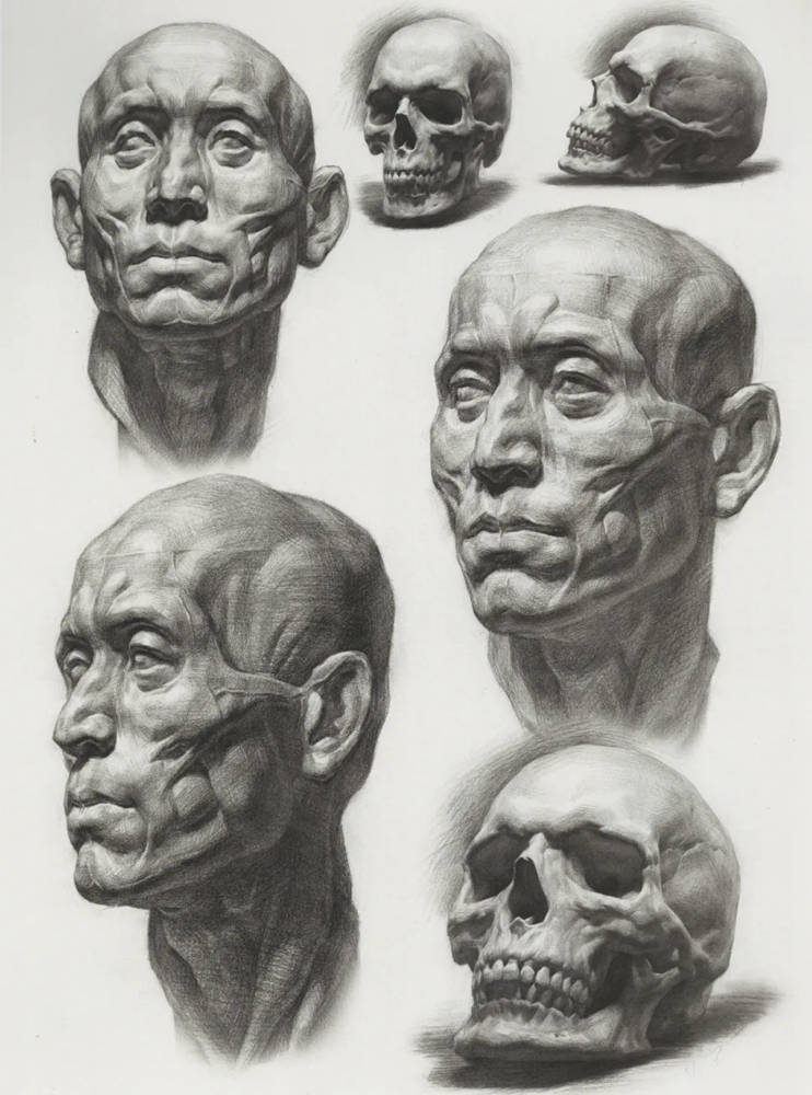 廣州畫室排名前三畫室超強干貨丨素描頭像基礎理論知,04