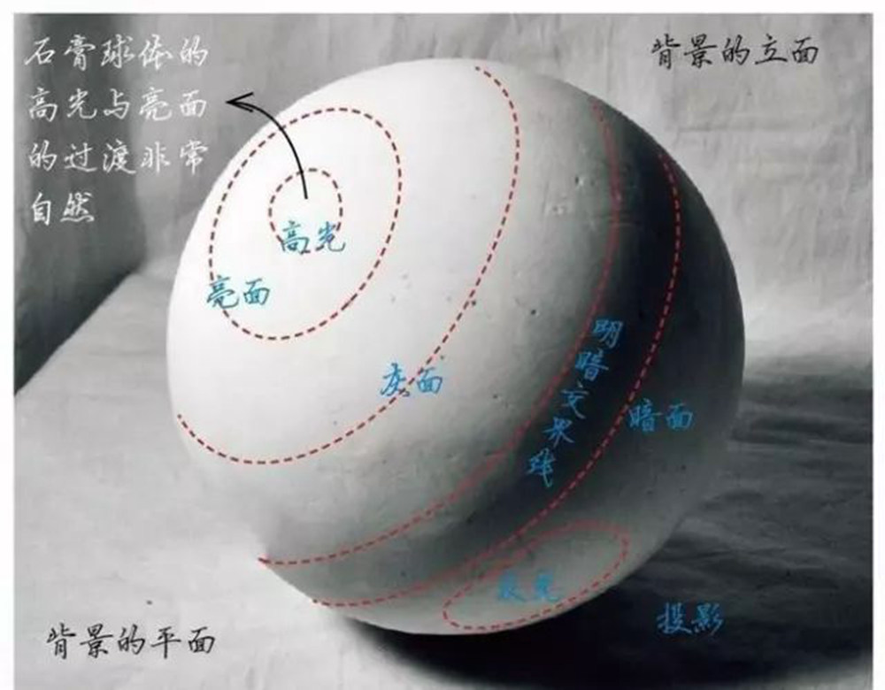 人物素描,廣州藝考畫(huà)室告訴你首先要掌握這些的東西,15