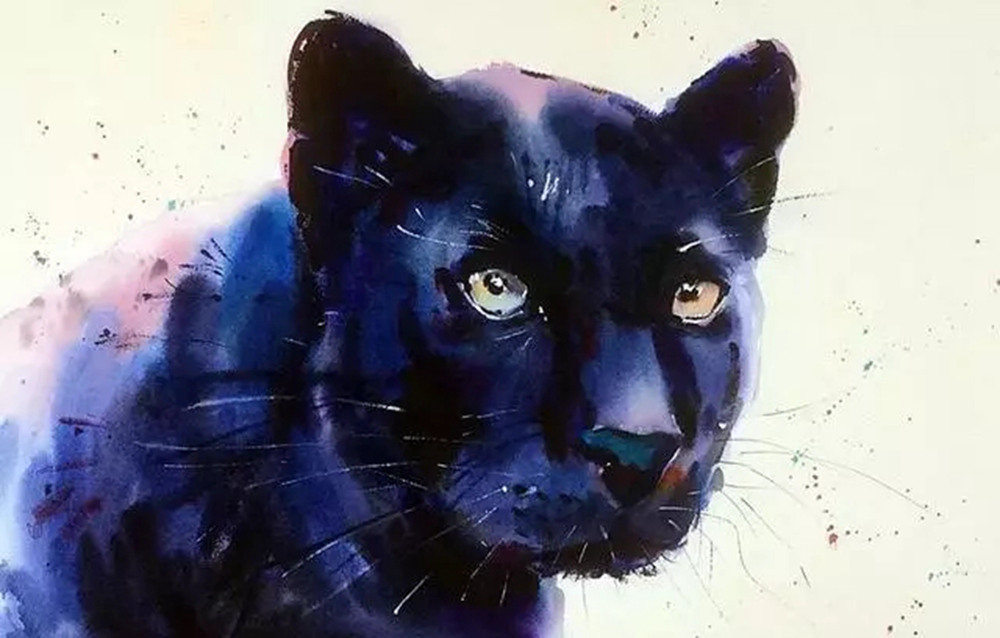 這樣的動物水彩畫廣州排名前十畫室覺得不能忍住笑,15