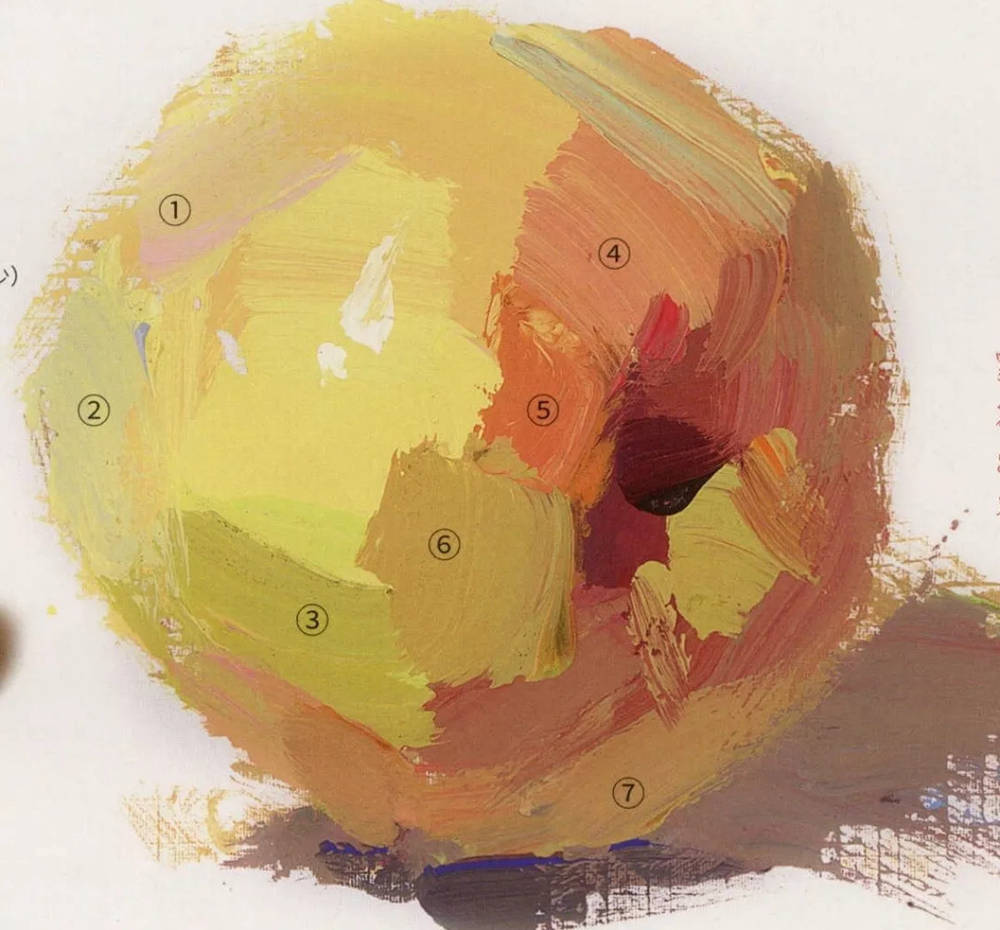 全網(wǎng)最全面的 “蘋果” 色彩靜物廣州藝考畫室教程！,06