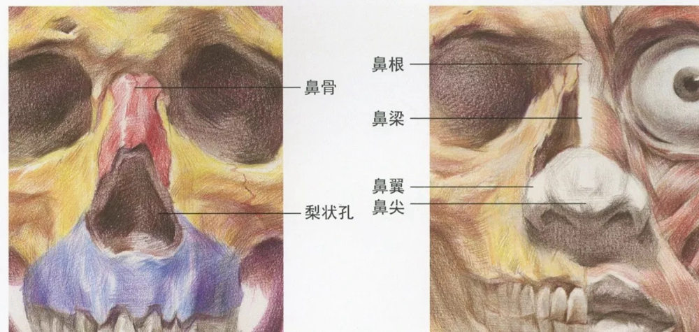 廣州藝考畫室,廣州素描畫室,廣州畫室素描培訓,27