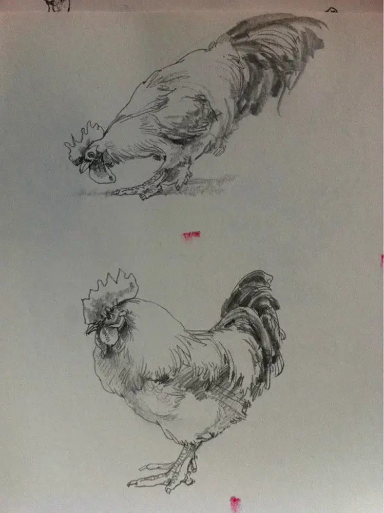 如果你正在學習線描速寫，廣州藝考畫室覺得這52幅作品正合適你,31