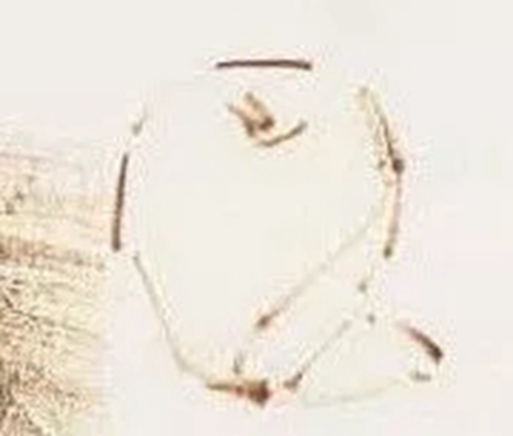 全網(wǎng)最全面的 “蘋果” 色彩靜物廣州藝考畫室教程！,09