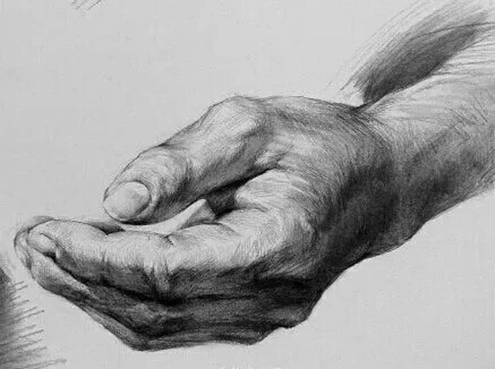 廣州畫室排名前五畫室給你整理了100幅手部刻畫作品拿去臨摹,17