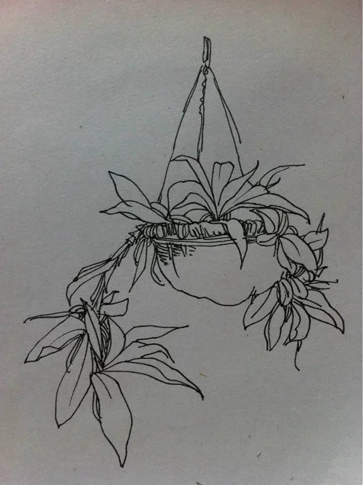 如果你正在學習線描速寫，廣州藝考畫室覺得這52幅作品正合適你,45