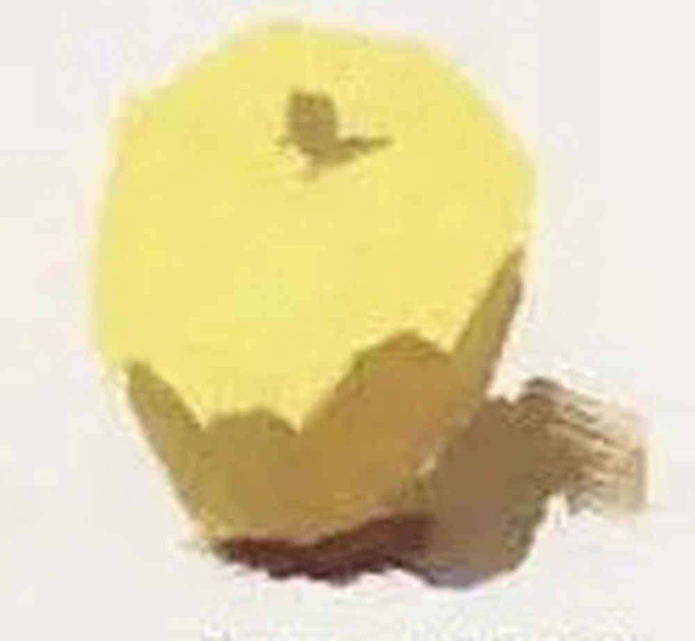 全網(wǎng)最全面的 “蘋果” 色彩靜物廣州藝考畫室教程！,11