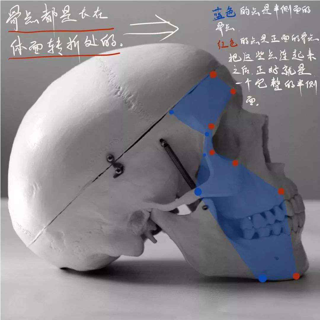 想要拿下校考素描頭像高分嗎?廣州十大畫室教你技巧,14