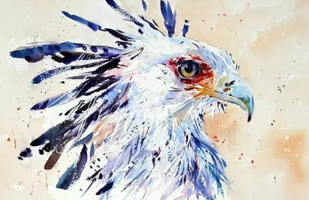 這樣的動物水彩畫廣州排名前十畫室覺得不能忍住笑,18