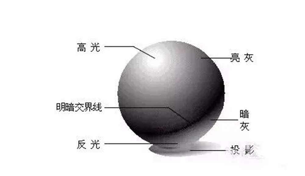 廣州畫室排名前三畫室教你素描初學入門怎樣畫明暗交界線,04
