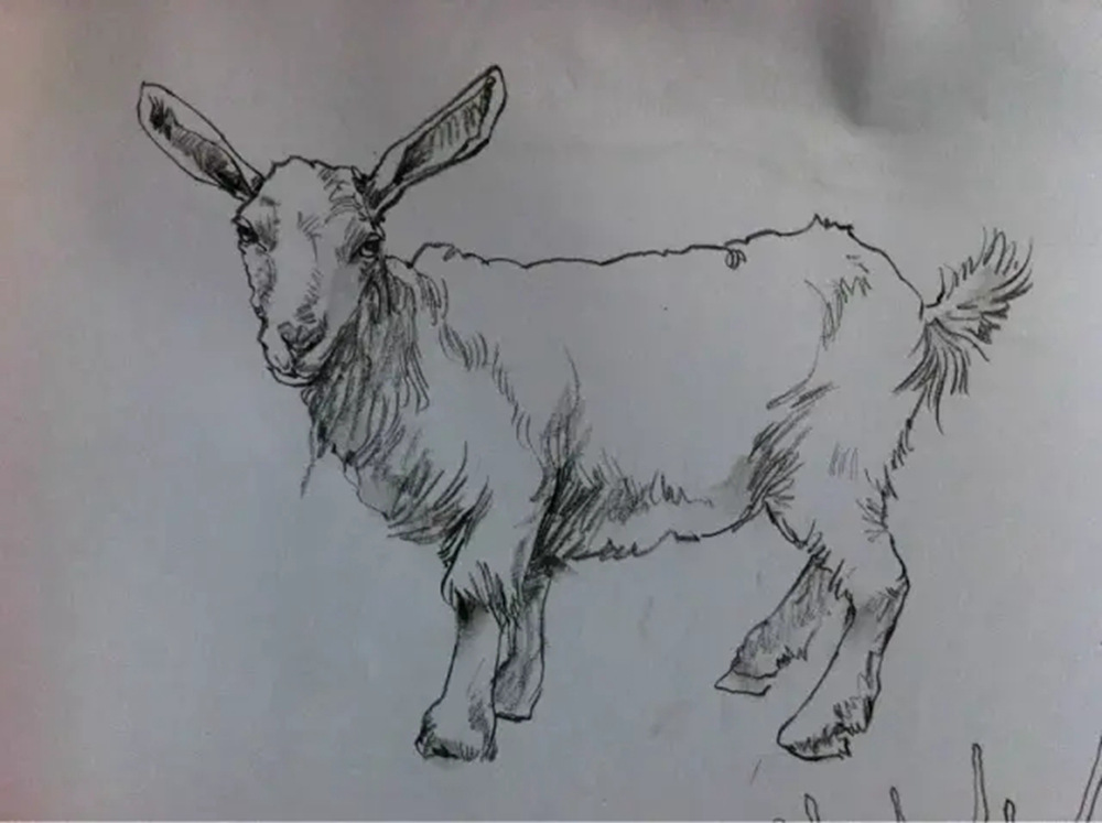 如果你正在學習線描速寫，廣州藝考畫室覺得這52幅作品正合適你,22