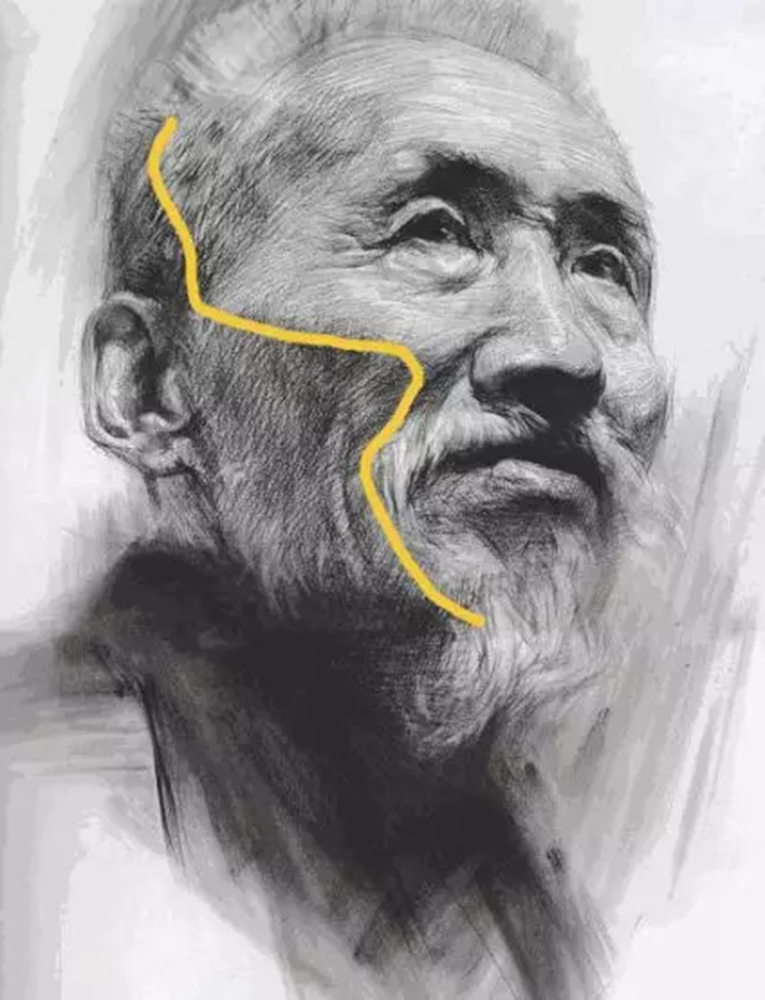 廣州畫室排名前三畫室教你素描初學入門怎樣畫明暗交界線,08