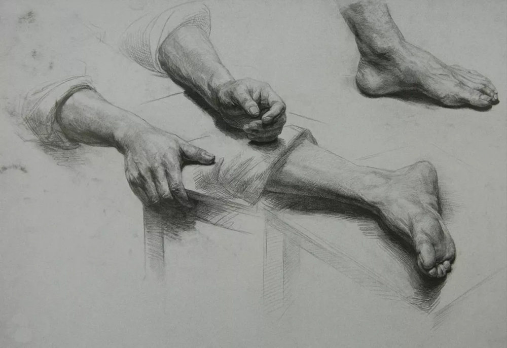 廣州畫室排名前五畫室給你整理了100幅手部刻畫作品拿去臨摹,29